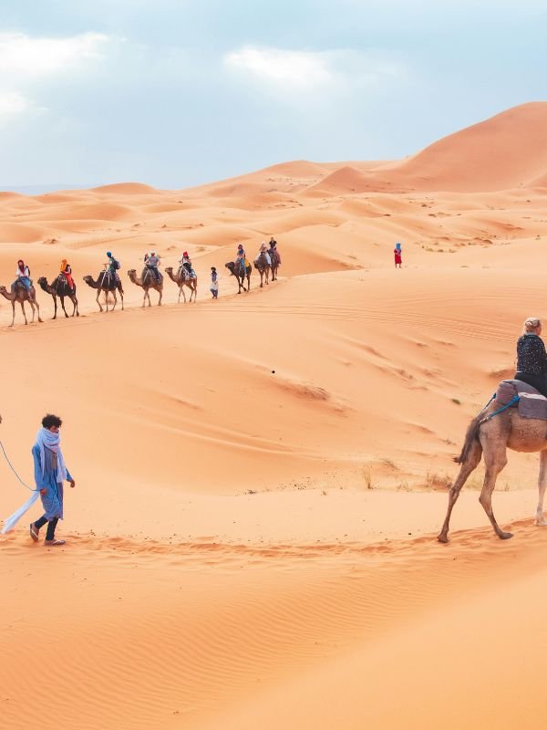 Merzouga camel tour in Sahara